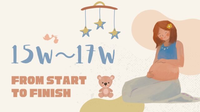 妊娠15w～17w