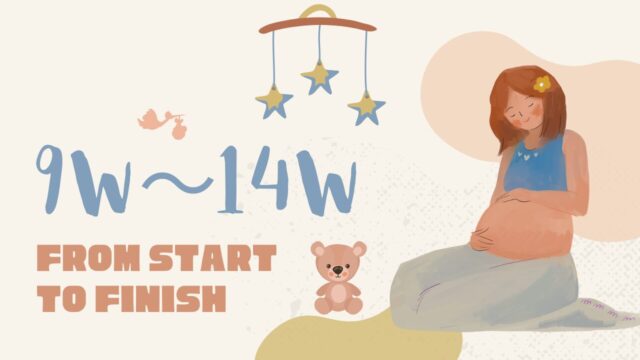 妊娠9w～14w