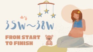 妊娠35週～38週