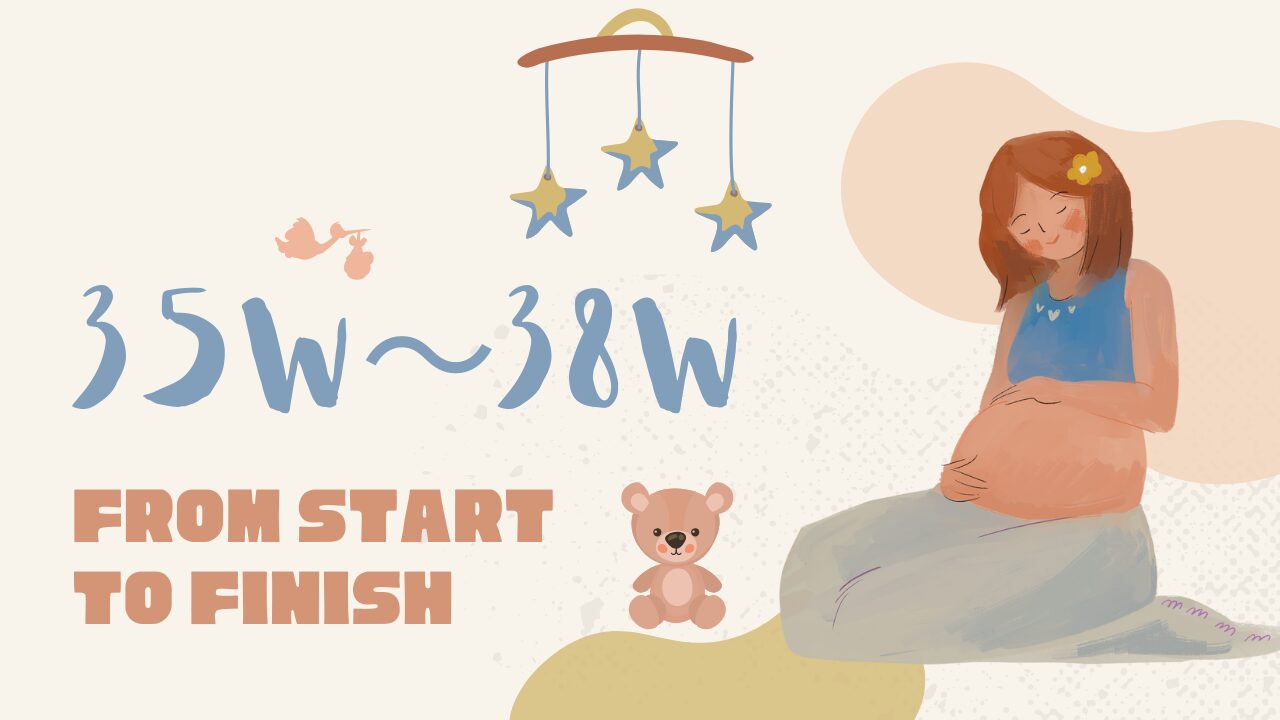 妊娠35週～38週